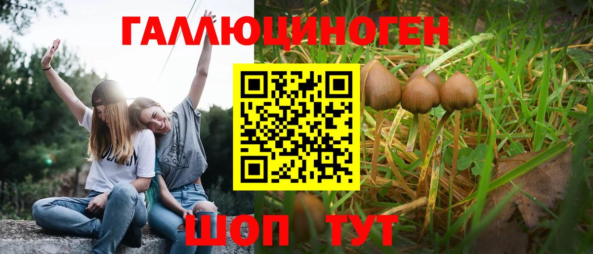 Галлюциногенные грибы Magic Shrooms  Галлюциногенные грибы Psilocybe  Вход с VPN  Бирск 